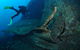 Cementco Dive Site - thumb 1