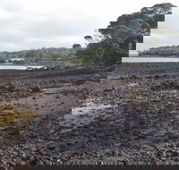 Churchill Island Marine National Park - Attractions