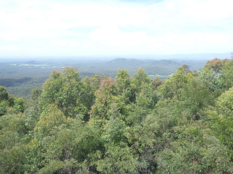 Collombatti Lookout - Attractions 0