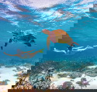 Coral Bay - Attractions