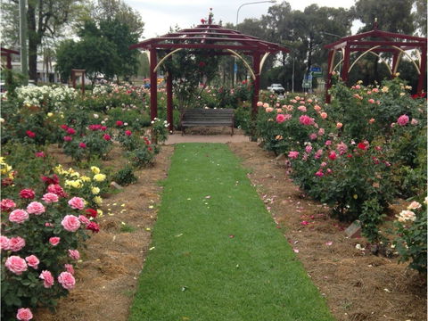 Cowra Rose Garden - Attractions 1