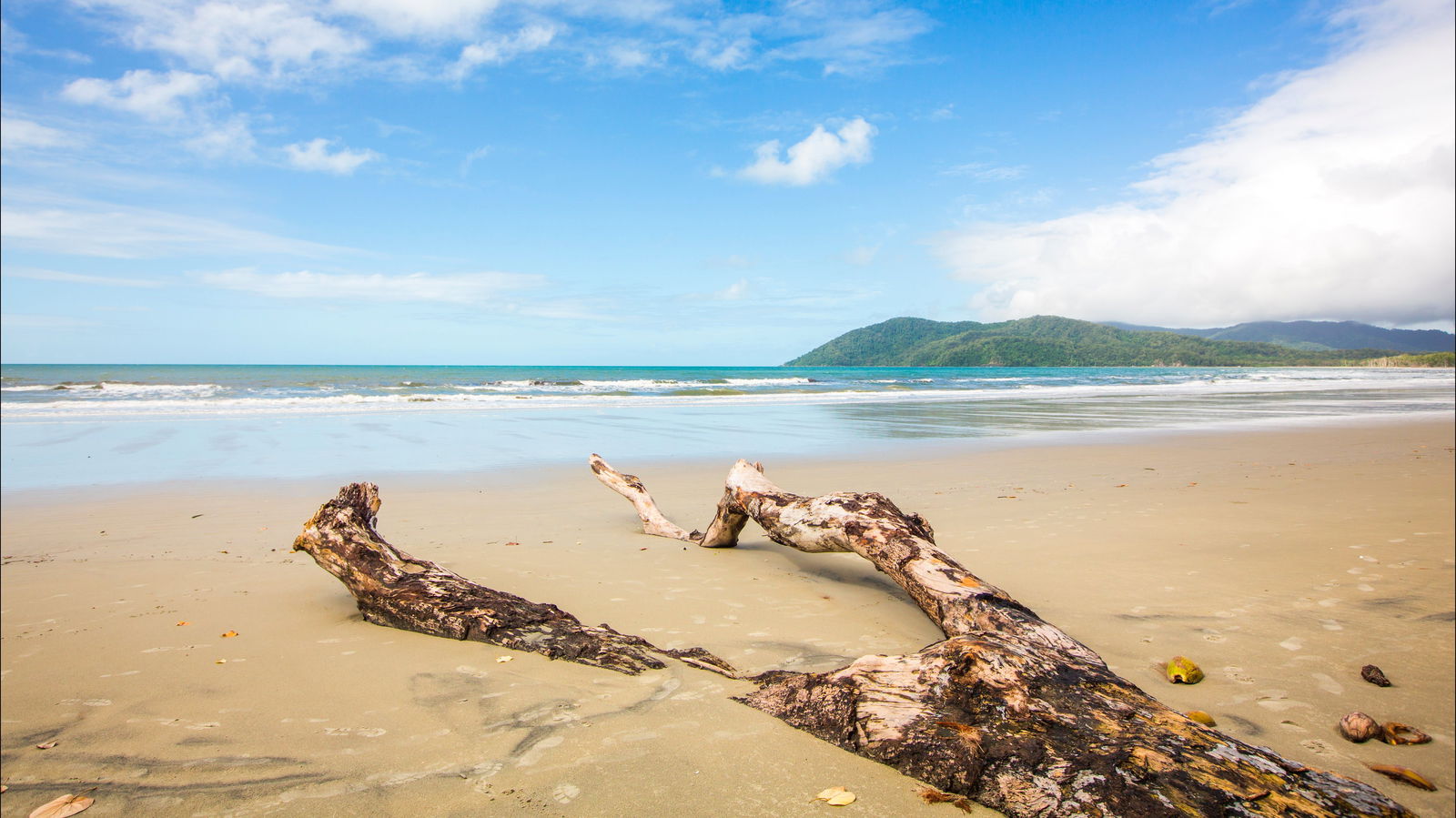 Cow Bay QLD Attractions