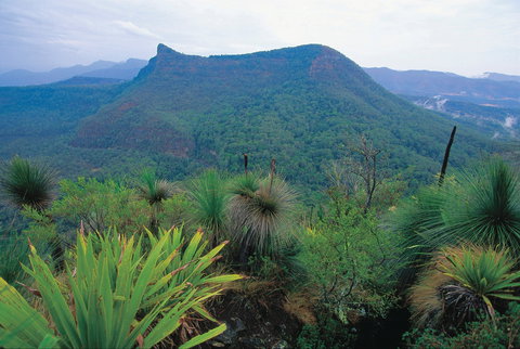 Cunninghams Gap And Spicers Gap, Main Range National Park - Attractions 1