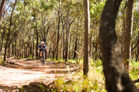 Davies Creek Mountain Bike Park - Attractions 1
