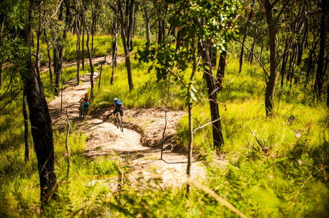 Davies Creek Mountain Bike Park - Attractions 2