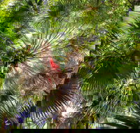Depot Beach Rainforest Walk - Attractions
