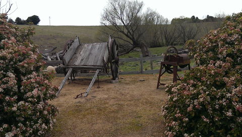 Early Settlers Hut - Attractions 2