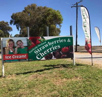 Fairfield Orchard - Attractions