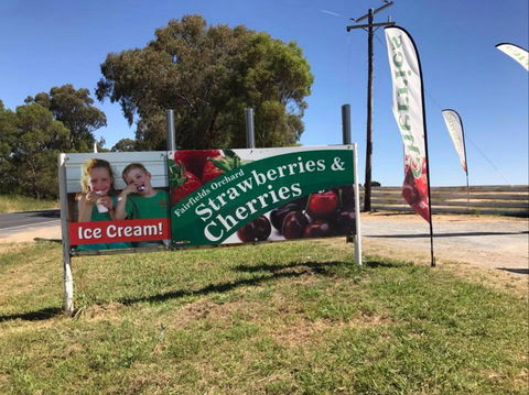 Fairfield Orchard - Attractions 0