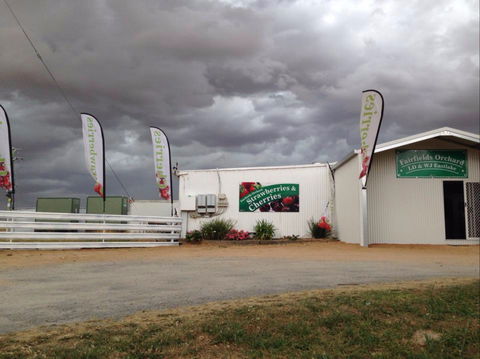 Fairfield Orchard - Attractions 2