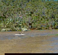 Fitzpatrick Park - Attractions
