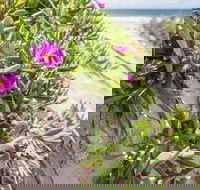 Fort Bribie - Attractions