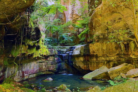 Glimpse Of The Outback 5 Day Tour - Roma And Surrounds - Attractions 0