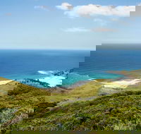 Governor Game Lookout - Attractions