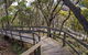Governor Summit (Corrunbral Borawah) Walking Track - thumb 0