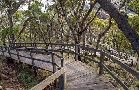 Governor Summit (Corrunbral Borawah) Walking Track - Attractions 0