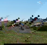 Jim Salmon  Wetland Education Site - Attractions