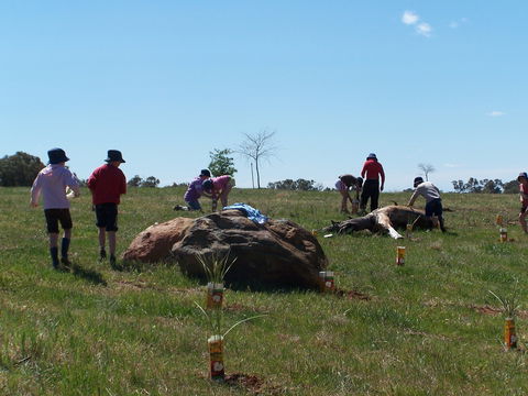 Jim Salmon  Wetland Education Site - Attractions 0