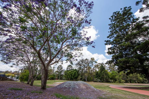 John Scott Park - Attractions 0