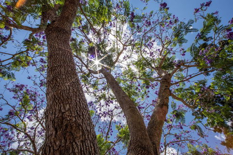 John Scott Park - Attractions 1