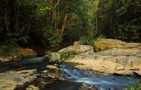 Jumrum Creek Walk, Jumrum Creek Conservation Park - Attractions Las Vegas 0