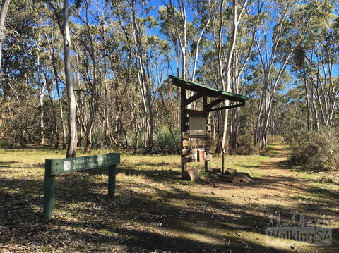 Kaiserstuhl Conservation Park - Attractions Las Vegas 0