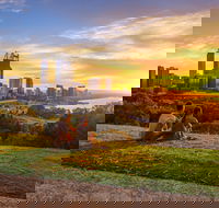 Kings Park and Botanic Garden - See Attractions