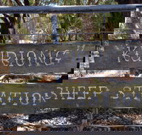 Kuriong Sheep Station - Attractions