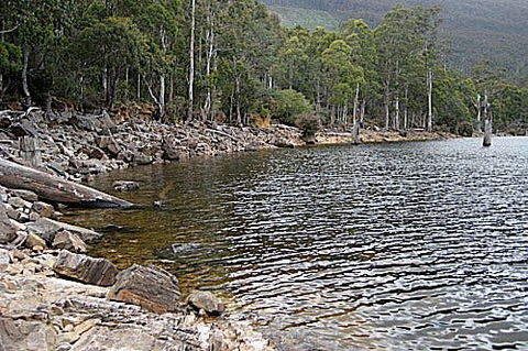 Lake Rowallan - Attractions 1