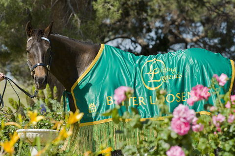 Living Legends: The International Home Of Rest For Champion Horses - Attractions 0