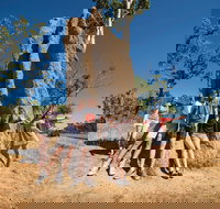 Magnetic Termite Mounds - Attractions Las Vegas