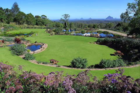Maleny Botanic Gardens And Bird World - Attractions 2