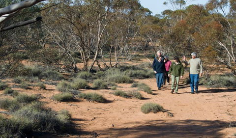 Mallee Stop Walking Track - Attractions 0
