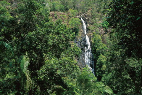 Mapleton Falls National Park - Attractions 0