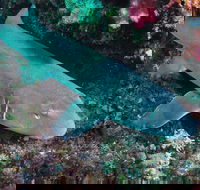 Middle Reef Dive Site - Attractions