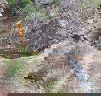 Mill-bullah Walking Track - Attractions