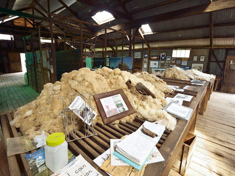 Mooloomoon Shearing Shed - Attractions 1