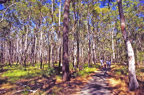 Moogerah Peaks National Park - Attractions 1