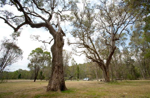 Moolarben Picnic Area - Attractions 0