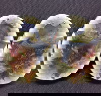 Mount Hay Gemstone Tourist Park - Attractions