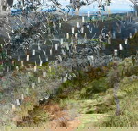 Mount Towac Walk - Attractions