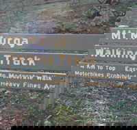 Mount Murga Walking Track - Attractions