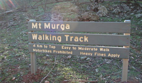 Mount Murga Walking Track - Attractions 0