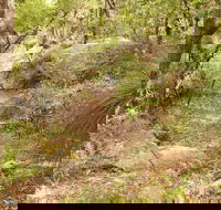 Mount Carnarvon Walking Track - Attractions