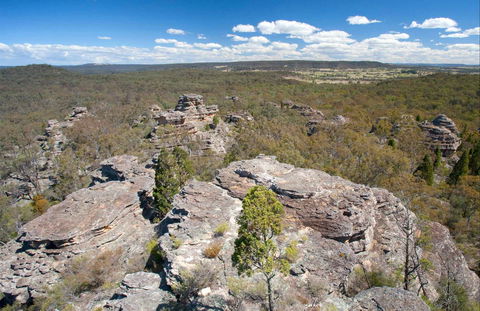 Munghorn Gap Nature Reserve - Attractions 0