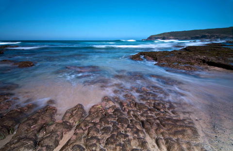 Munmorah State Conservation Area - Attractions 0