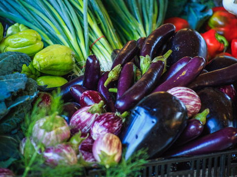 Murwillumbah Farmers' Market - Attractions 1