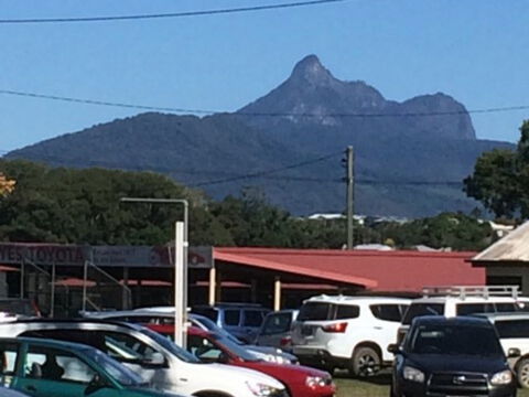 Murwillumbah Farmers' Market - Attractions 2