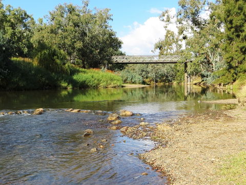 Namoi River And Woolshed Reserve - Attractions 0