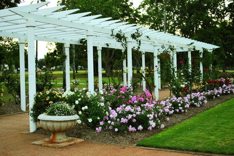 Newtown Park State Rose Garden - Attractions 1